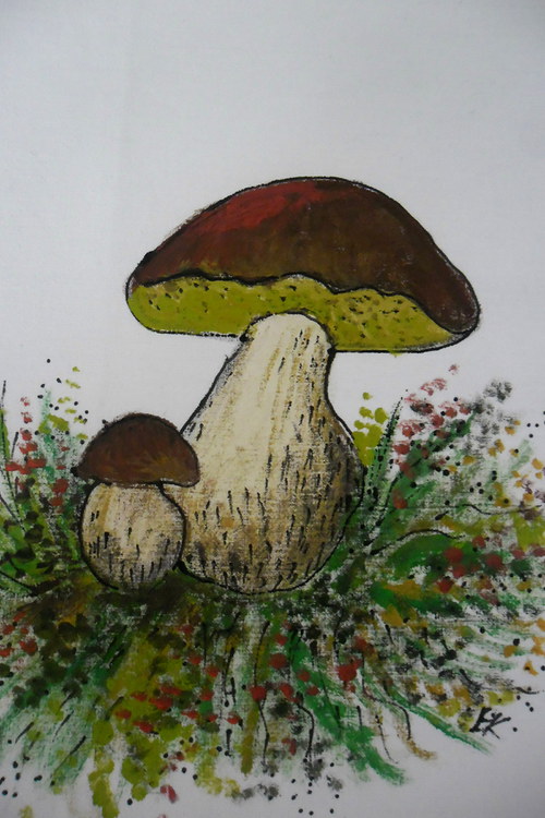 Sáček na sušené houby - velký — foto 3