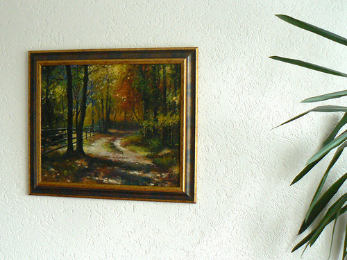 Cesta lesem 2 2012 — foto 2