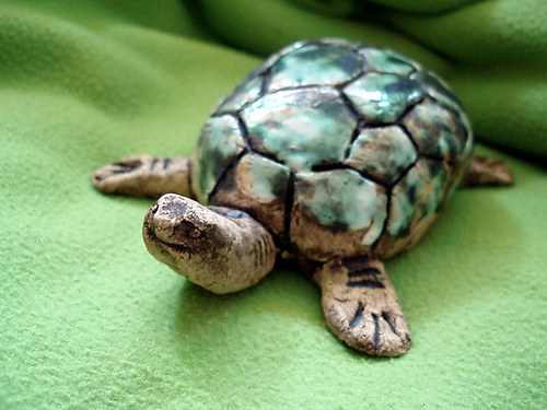 ,,paní želva,, — foto 2