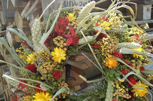 Svěžest — foto 2