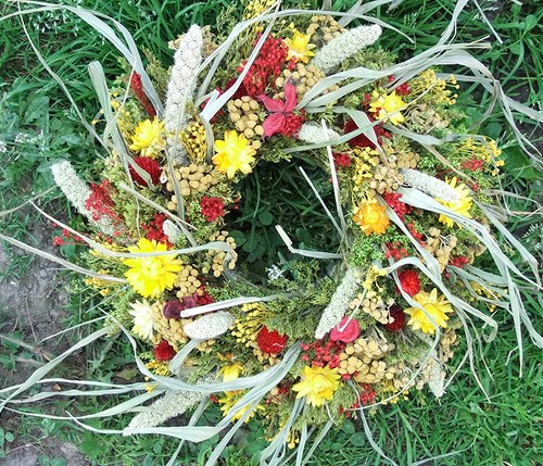 Svěžest — foto 3