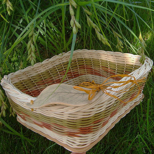 Lesní zákoutí — foto 2