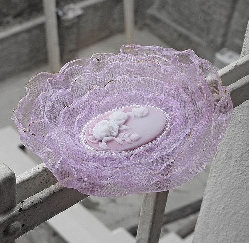 Cameo roses — foto 4