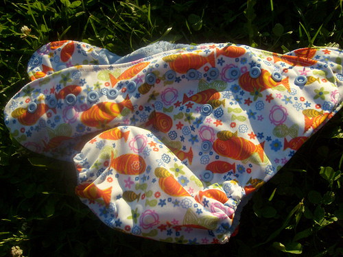 Rybičky s aksamitem — foto 2