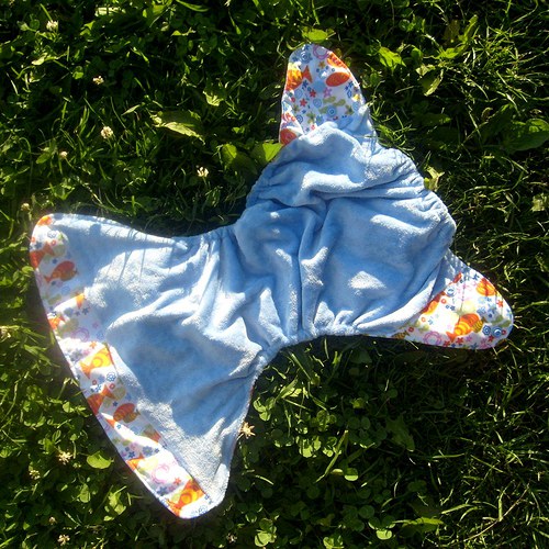Rybičky s aksamitem — foto 3