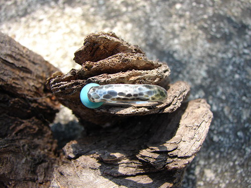 Tyrkykulka — foto 3