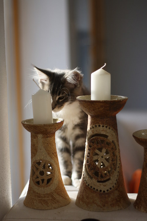 .....two in one....... — foto 4