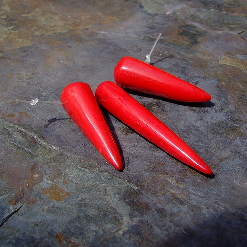Korál: chilli papričky — foto 2