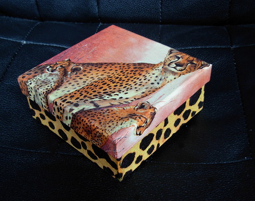 Krabička Gepard — foto 2