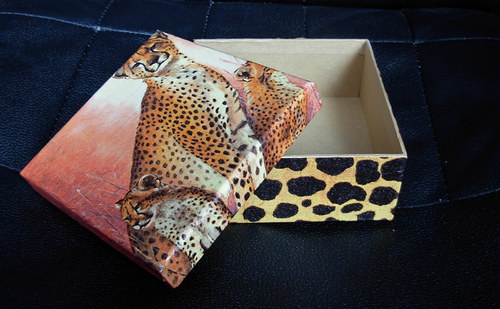 Krabička Gepard — foto 3