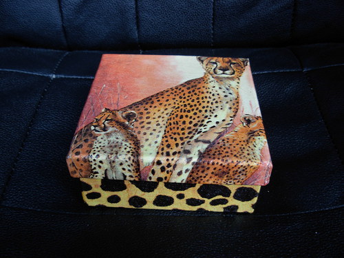 Krabička Gepard — foto 4