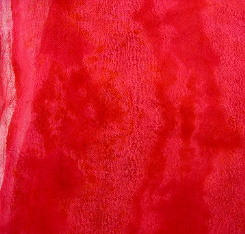Třešňoví Hadi — foto 2