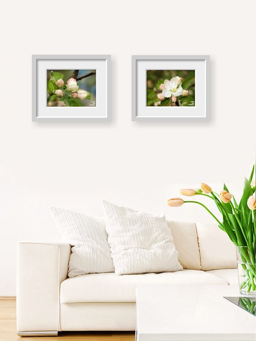 102. White Blossom - sada 2 fotografií, Giclée — foto 3