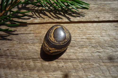 Stromatolit č. L3773 — foto 3