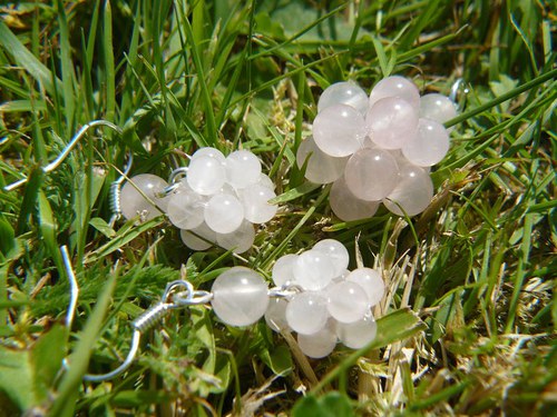 Růženínové koulení — foto 5