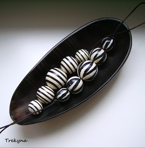 Zebra Grévyho - souprava — foto 5