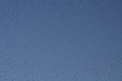Na přání — foto 4