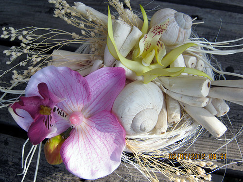 Orchidejka -celoroční — foto 2