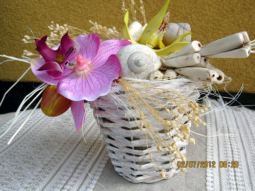 Orchidejka -celoroční — foto 3