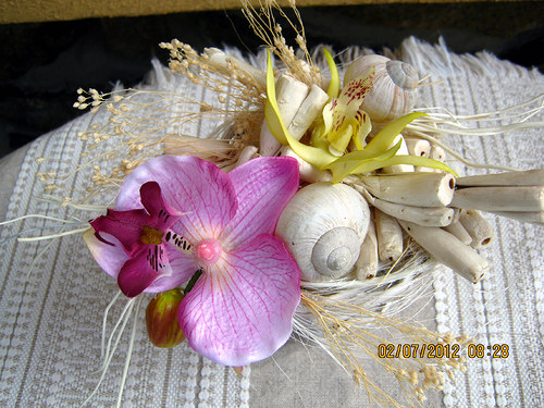 Orchidejka -celoroční — foto 4