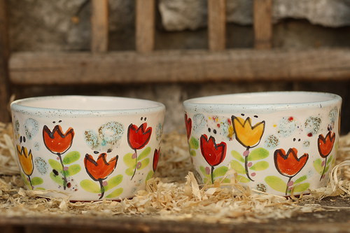 Misky s tulipánky — foto 2