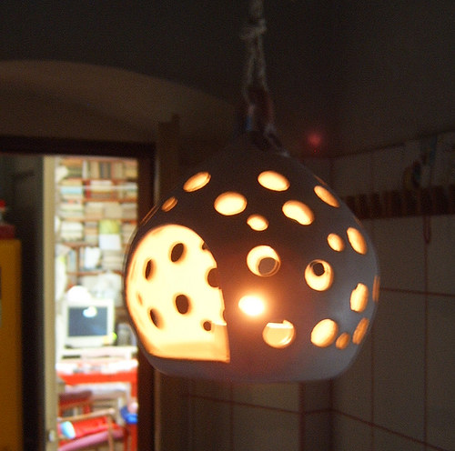 Bludička kulatá — foto 2