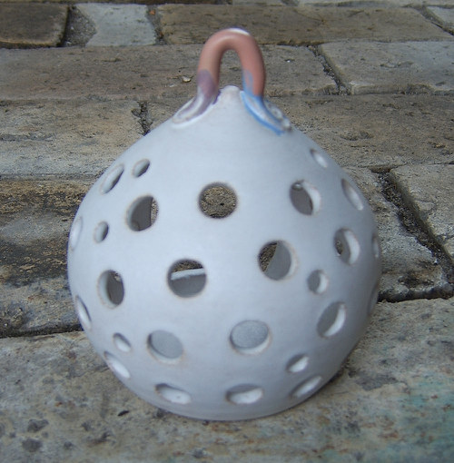 Bludička kulatá — foto 5