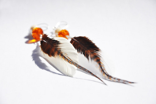 Brown&WhiteBird. — foto 2