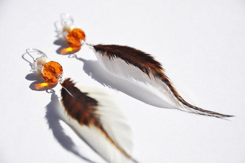 Brown&WhiteBird. — foto 3