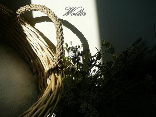 Tác oválný - bílé proutí — foto 5