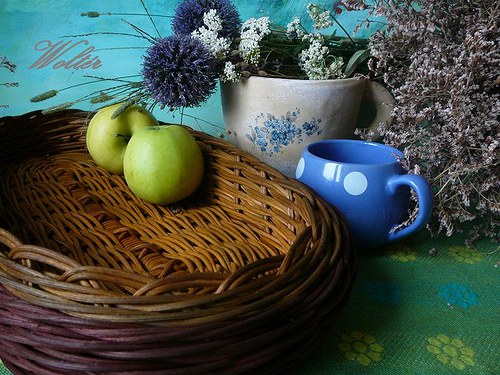 Ošatka oválná hnědá — foto 6