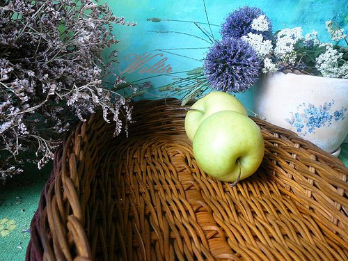 Ošatka oválná hnědá — foto 4