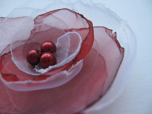 Ze zahrádky VIIII... — foto 3