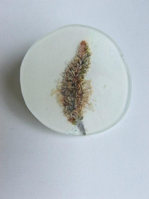 Dobré jitro — foto 2