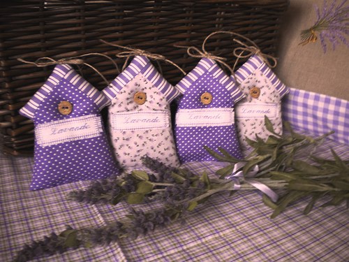 Tu bývam ja , levandula r.2013 — foto 2