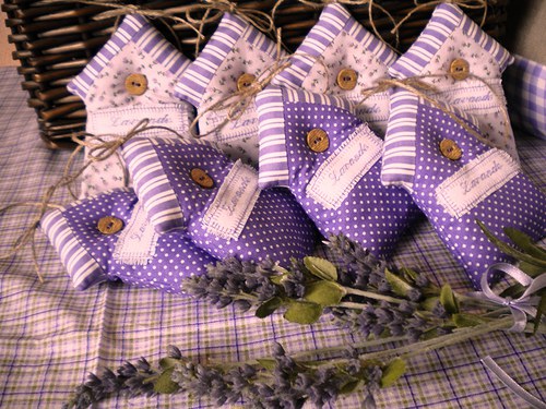 Tu bývam ja , levandula r.2013 — foto 3