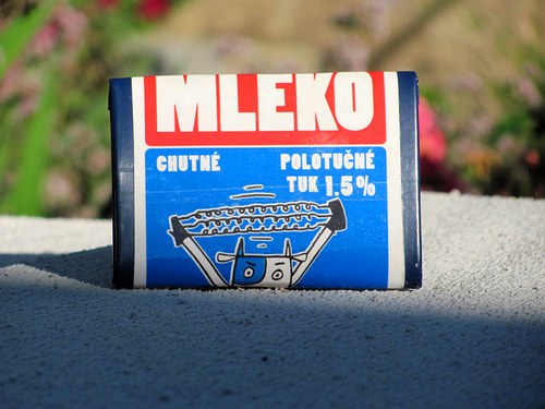 Kraví tělocvik — foto 3