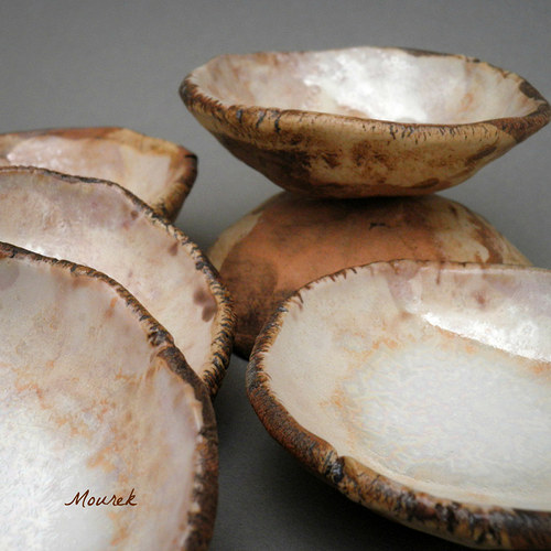 Bílá lastura — foto 3