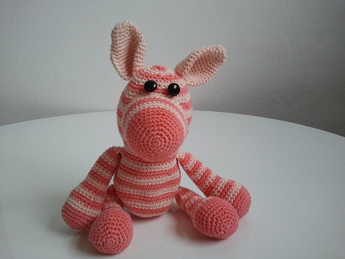 Zebra Oranžovka — foto 4