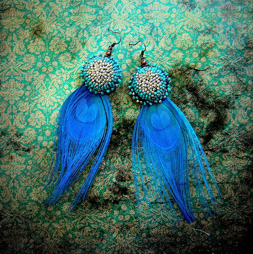 Turquoise peacock — foto 2