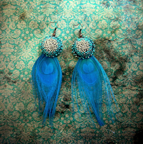 Turquoise peacock — foto 4