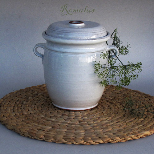 Kvašák bílý (1,6 l) — foto 4