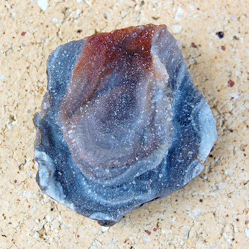 Chalcedonová růže — foto 2