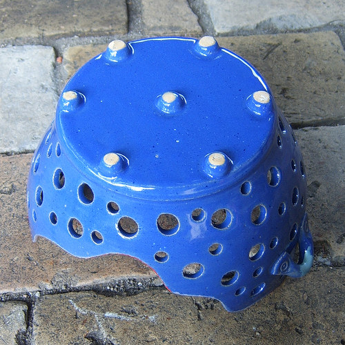 Lapka modrá — foto 4