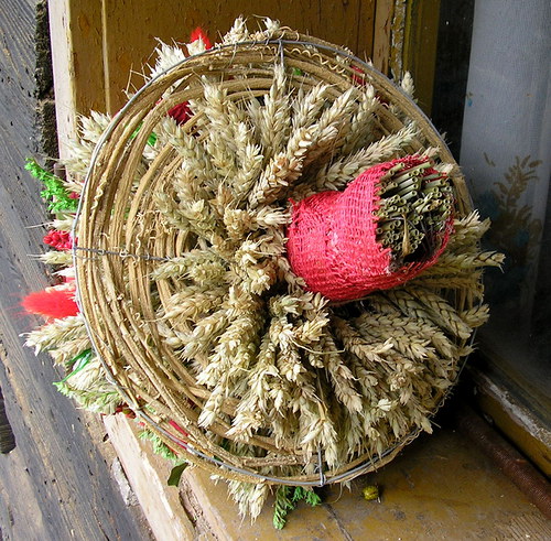 Z babiččiny zahrádky — foto 3