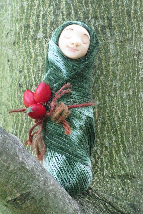 Kuklička víly šípkové — foto 2