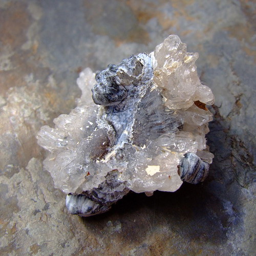 Achát hadí- chalcedonová růže — foto 2