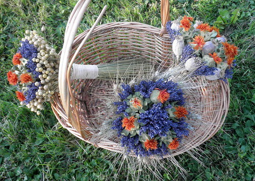Kytičky světlice — foto 2