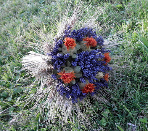 Kytičky světlice — foto 3