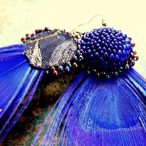 Blue peacock — foto 4